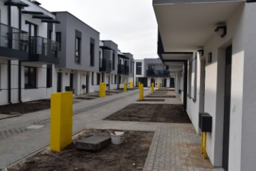 Zdjęcie z galerii