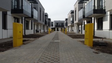 Zdjęcie z galerii